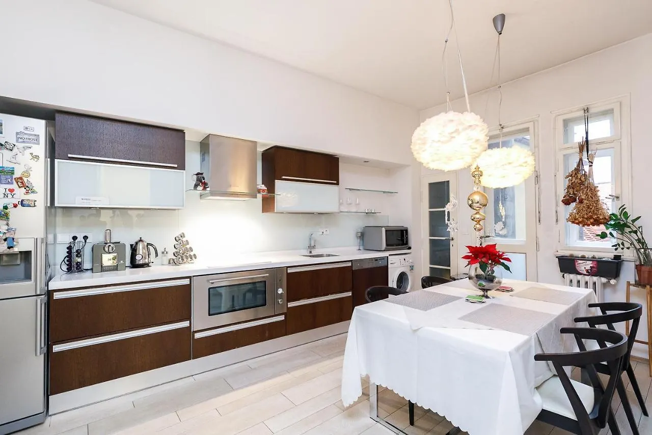 Luxury Apartment Dlouha Praha